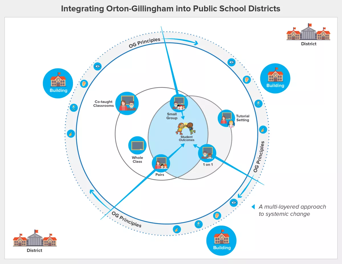 I will design a high-quality infographic