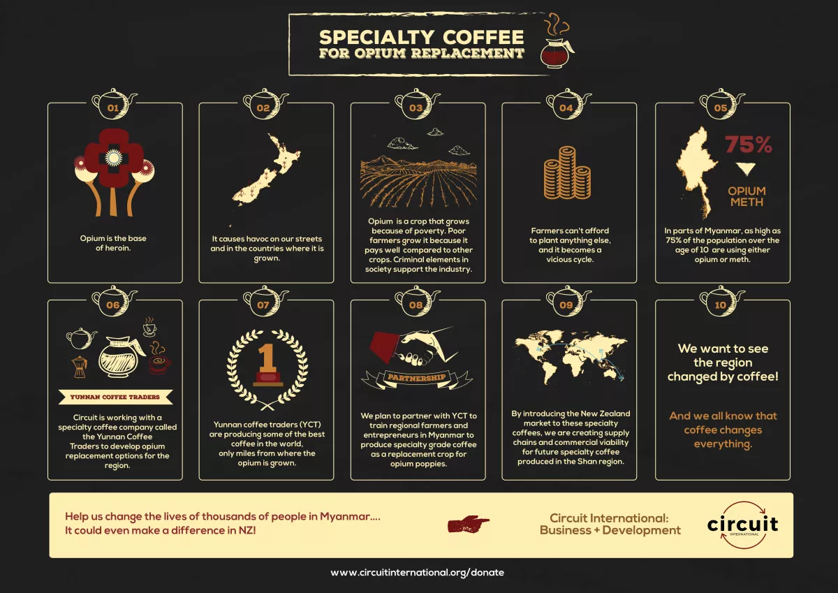 I will design a high-quality infographic