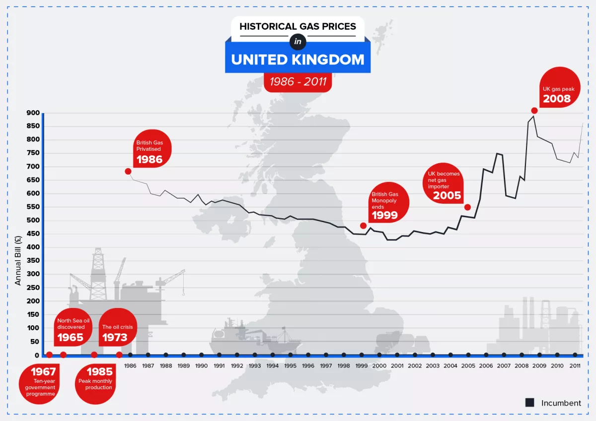 I will design a high-quality infographic