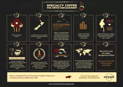 I will design a high-quality infographic