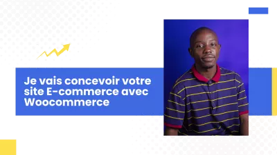 Je vais concevoir votre boutique avec woocommerce de WordPress 